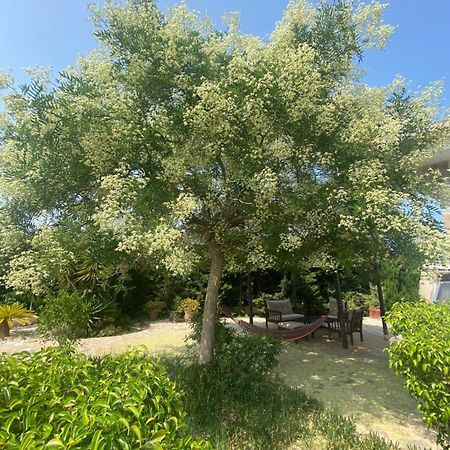 Casa Lusentum Βίλα Τορεβιέχα Εξωτερικό φωτογραφία